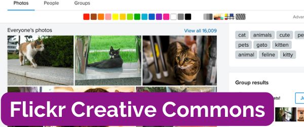 Screenshot of the Flickr search results page with the text "Flickr Creative Commons" over it.