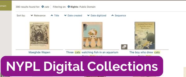 Screenshot of the New York Public Library Digital Collection search results page with the text "NYPL Digital Collections" over it.