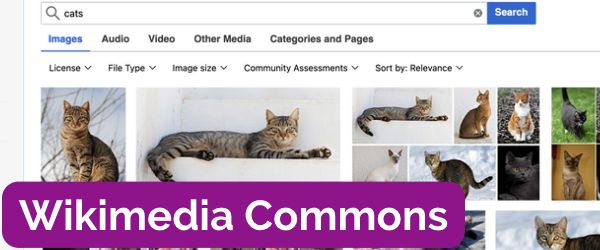 Screenshot of the Wikimedia Commons search results page with the text "Wikimedia Commons" over it.